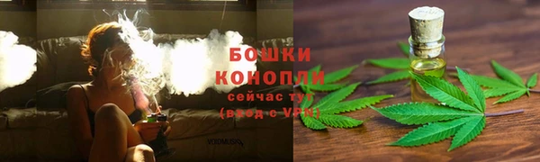 ПСИЛОЦИБИНОВЫЕ ГРИБЫ Бугульма