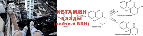 ПСИЛОЦИБИНОВЫЕ ГРИБЫ Бугульма
