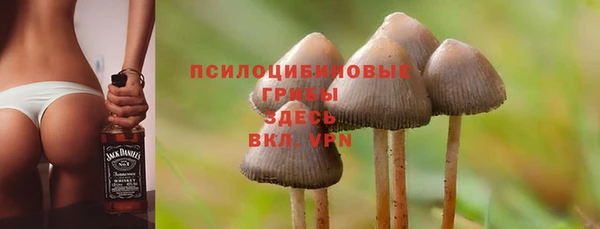 экстази Бородино