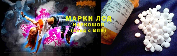 гашик Сатка