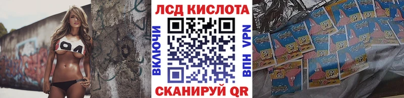 shop Telegram  MEGA онион  Новоржев  Наркотические марки 1,5мг 