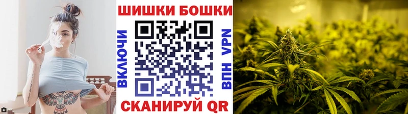 kraken ТОР Новоржев Каннабис SATIVA & INDICA